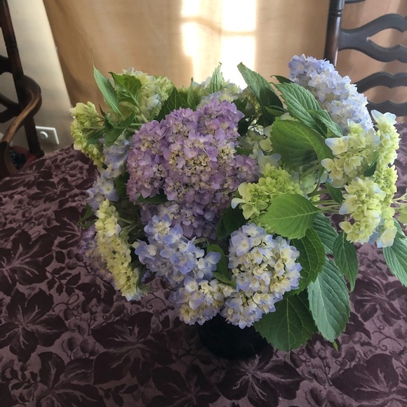 Meet your Posher, Barbara - Picture 2 of 3